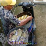 WhatsApp Image 2025-07-03 at 06.56.44