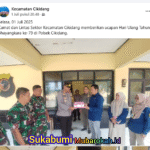 image (16)