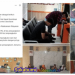 image (17)