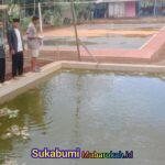 Budidaya Ikan Lele untuk Ketahanan Pangan di Desa Padajaya, Kecamatan Jampangkulon, Kabupaten Sukabumi