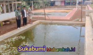 Budidaya Ikan Lele untuk Ketahanan Pangan di Desa Padajaya, Kecamatan Jampangkulon, Kabupaten Sukabumi