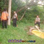 WhatsApp Image 2025-10-30 at 17.00.08