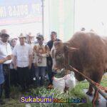 WhatsApp Image 2025-11-01 at 22.43.35