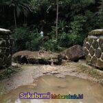 WhatsApp Image 2025-11-02 at 11.44.36 (1)