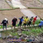 WhatsApp Image 2025-11-09 at 22.35.34