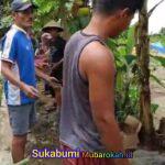 WhatsApp Image 2025-11-09 at 22.38.41