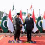 Prabowo Tegaskan Indonesia-Pakistan Dukung Kemerdekaan Palestina, Serukan Two-State Solution