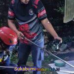 Ular Kobra Jawa Bersarang di Mesin Cuci, Tim Damkar Turun Tangan