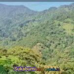 WhatsApp Image 2026-02-01 at 11.52.38