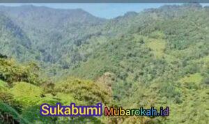 WhatsApp Image 2026-02-01 at 11.52.38