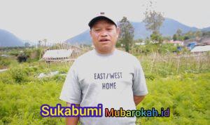 Petani Manggarai NTT: Sejak Ada MBG, Harga Wortel Kami Naik 3 Kali Lipat