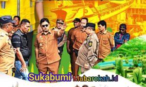 WhatsApp Image 2026-02-24 at 17.03.42