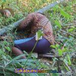 WhatsApp Image 2026-03-23 at 18.09.08