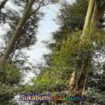 Ramdan Rustarmono Dorong Wisata Edukasi Sejarah di Desa Cicareuh