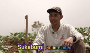 Petani Sayur di Boyolali Tersenyum Berkat MBG, Harga Naik dan Permintaan Meningkat