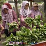 WhatsApp Image 2026-04-03 at 13.53.23 (1)