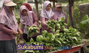 WhatsApp Image 2026-04-03 at 13.53.23 (1)