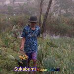 WhatsApp Image 2026-04-04 at 12.55.09