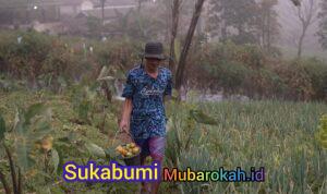 WhatsApp Image 2026-04-04 at 12.55.09