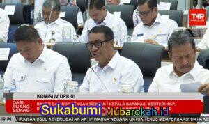 Pemerintah: Ketersediaan Jagung, Gula, hingga Telur Ayam Diproyeksikan Surplus Jelang El Nino Godzilla