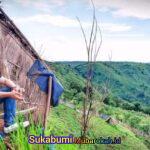 Wall Street of Happiness: Sukabumi Mubarokah Menempa Alam Jadi Saham Surgawi