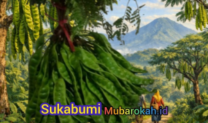 Cikakak Sukabumi Dari Durian ke Petai, Potensi Lokal yang Menyehatkan serta Banyak Digemari Masyarakat