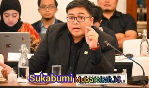 Legislator Partai Gerindra Jangan Sampai Perusahaan Digital Global Untung Besar, Indonesia Hanya Jadi Pasar