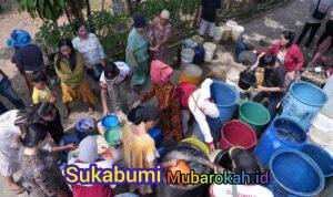 WhatsApp Image 2026-07-26 at 13.41.33