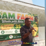 Wisata Petik Melon di Cisolok Resmi Dibuka, Dorong Pertanian Terintegrasi dan Ekonomi Lokal