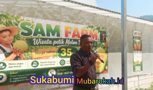 Wisata Petik Melon di Cisolok Resmi Dibuka, Dorong Pertanian Terintegrasi dan Ekonomi Lokal