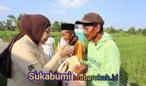 Legislator Gerindra, Hj. Rahmawati Program Prabowo Bikin Petani Makin Optimistis