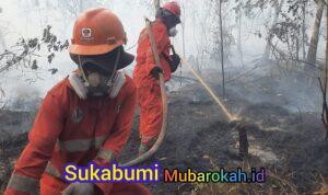 WhatsApp Image 2026-08-22 at 00.59.07 (1)