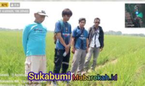 WhatsApp Image 2026-08-24 at 00.58.46 (2)