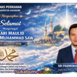 image (28)