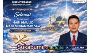 image (28)