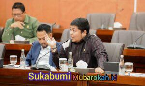 WhatsApp Image 2026-09-03 at 18.29.58
