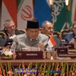 Transformasi Sektor Pangan RI, Prabowo Tawarkan Industrialisasi Bersama BRICS di New Delhi