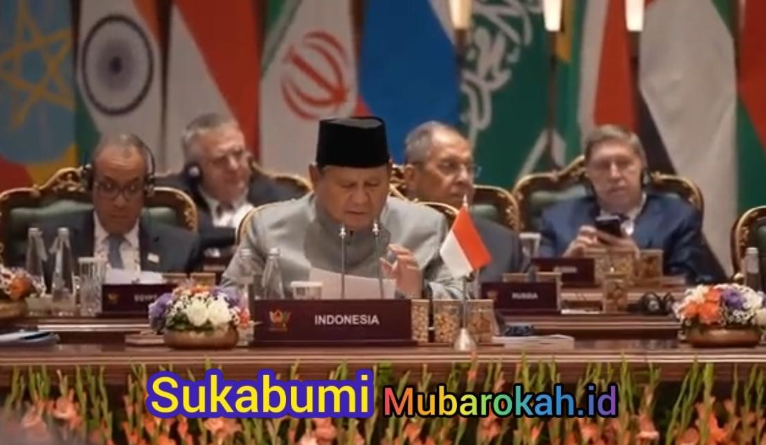 Transformasi Sektor Pangan RI, Prabowo Tawarkan Industrialisasi Bersama BRICS di New Delhi
