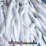Penuh Giji dan Manfaat Kesehatan, Inilah Ikan layur Sukabumi