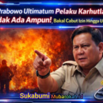 image (32)