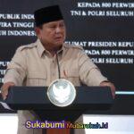 WhatsApp Image 2026-10-08 at 07.45.33